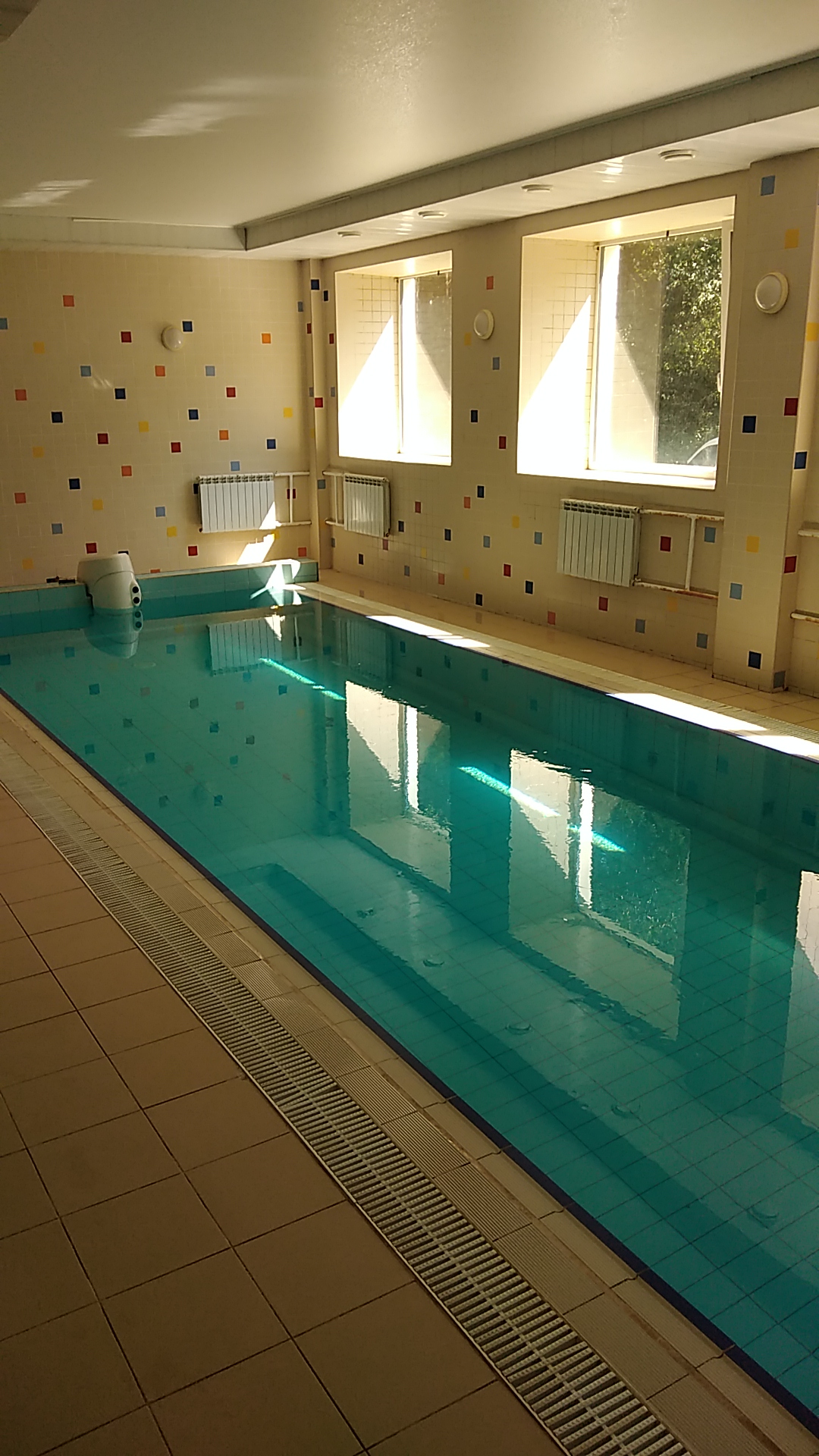 Фото Бобачёвская роща