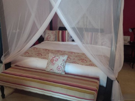 Фото Fort Tiracol Heritage Hotel