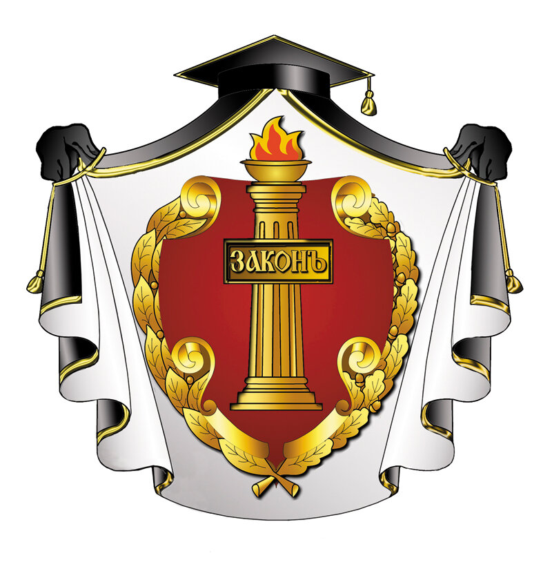 Адвокат Родионов Д. А.