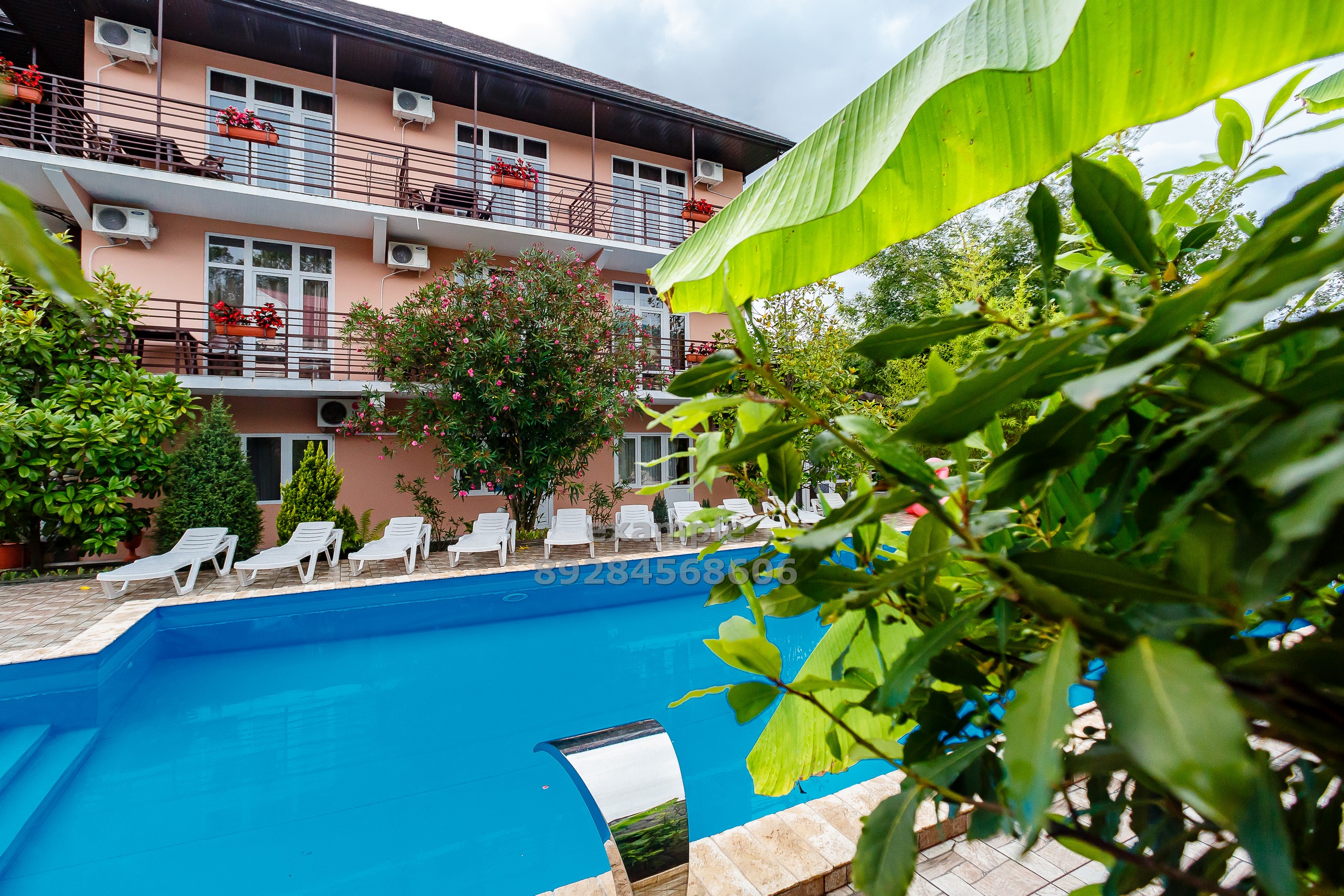 Фото У Елены