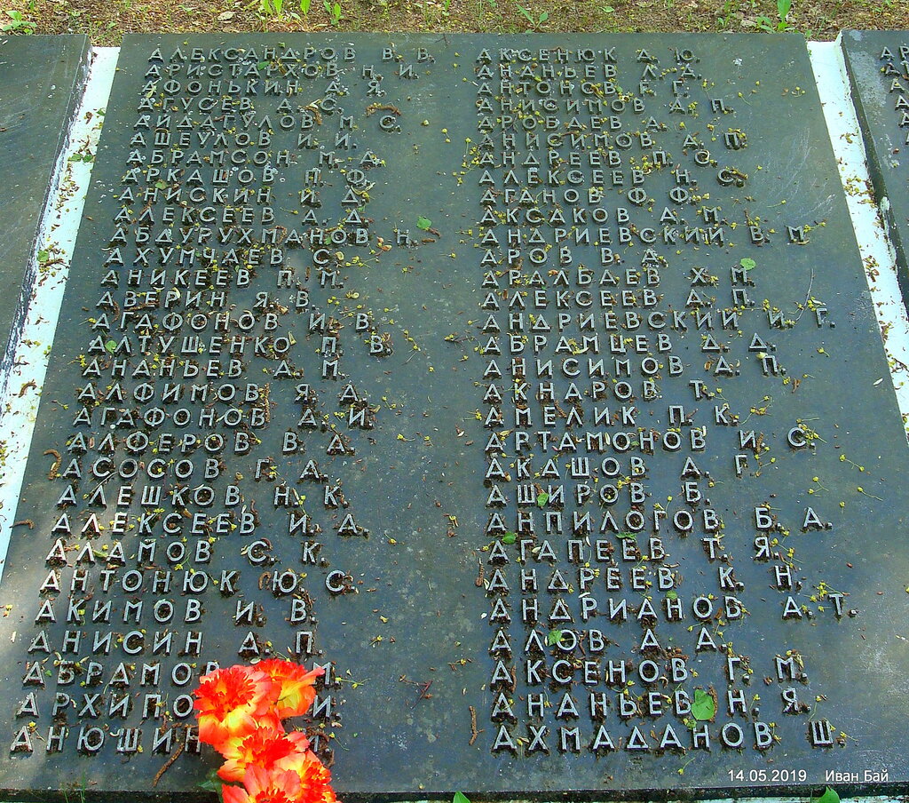 Братская могила, памятник, мемориал, Витебская область, Городокский район, Бычих