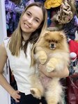 Студия груминга Екатерины Демидовой (prospekt Lenina, 28) ، صالون حيوانات أليفة