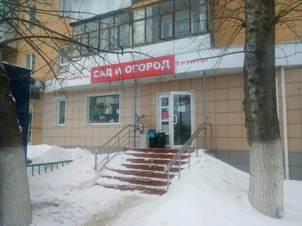 Саранск магазины семян ель строение семян
