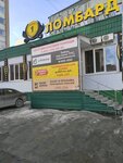 Avtolombard (Osipenko Street, 81), car pawnshop