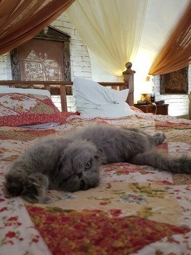 Дом в аренду Дом Ершова в Гороховце