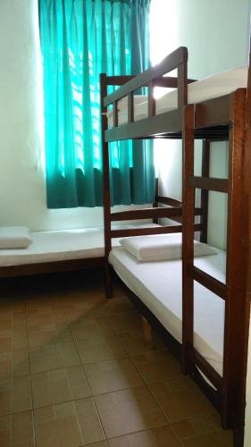 Фото Borneo Backpackers