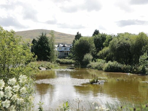 Жильё посуточно Bryn Dedwydd Farmhouse