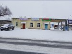 Pogat (Bolshaya Togovschinskaya Street, 5), transport company, car depot