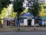1xStavka (Maksima Gorkogo Street, 29), bookmakers