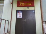 Всероссийская политическая партия Родина (Kosmonavtov Street, 29), political parties