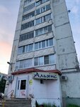 Альянс (Komsomolskaya ulitsa, 33) ، وكالة عقارية