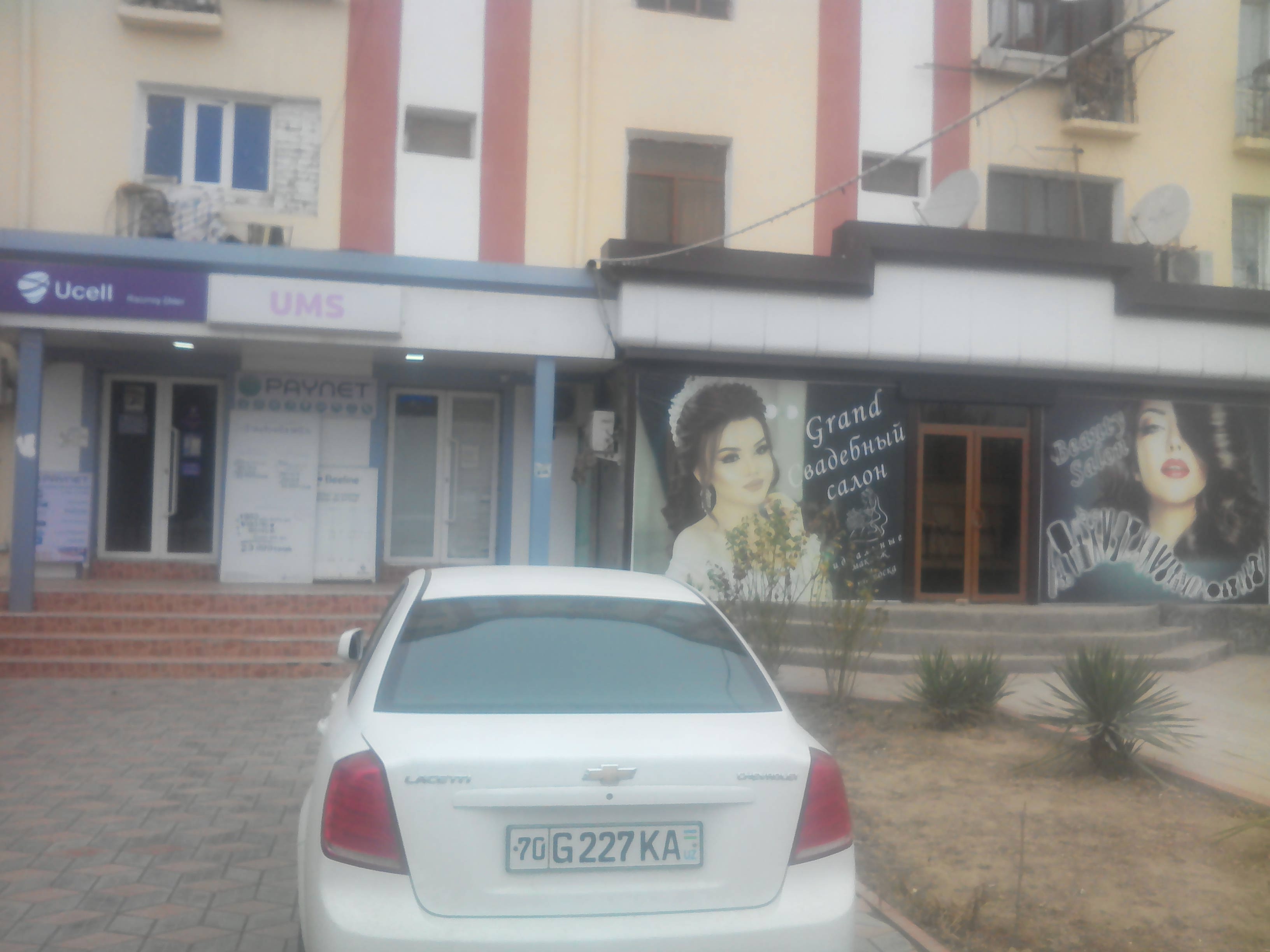 Salon videosida mushukning soqolini oldi