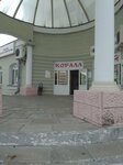 Korall (1-ya Posadskaya ulitsa, 15) ، متجر أواني