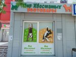 Mir khvostatykh (Karpinskogo Street, 73), pet shop