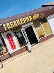 Tabakeria (Krasnoarmeyskaya ulitsa, 15), estanco