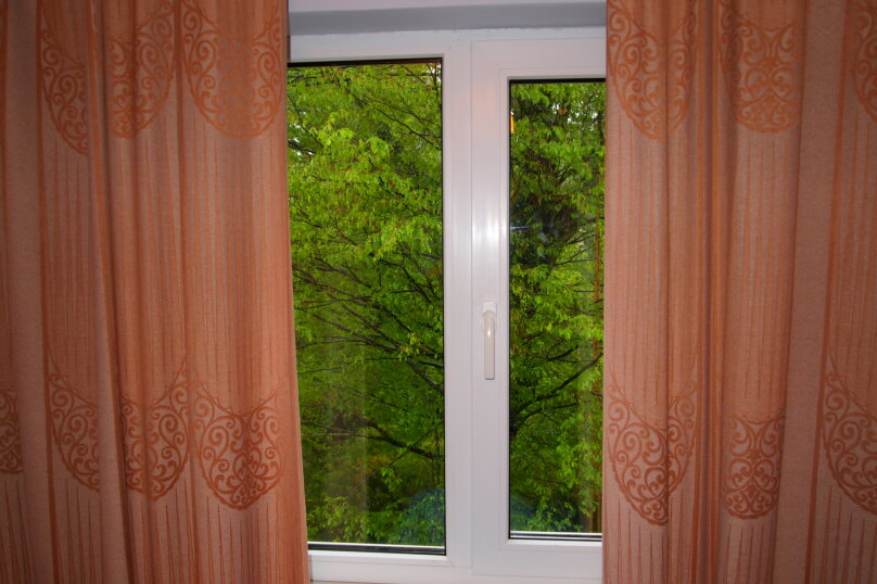 Фото Бамбучок