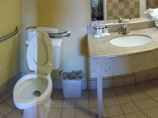 Фото Ramada by Wyndham Temple Terrace/Tampa North