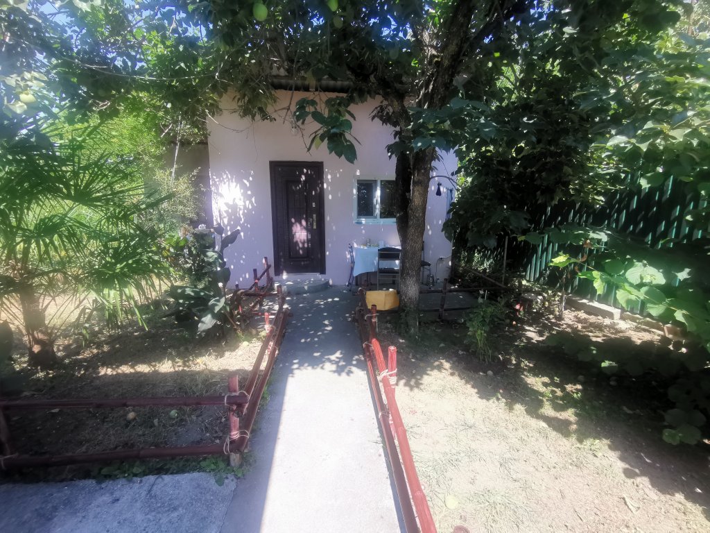 Фото Лукоморье в Алахадзе