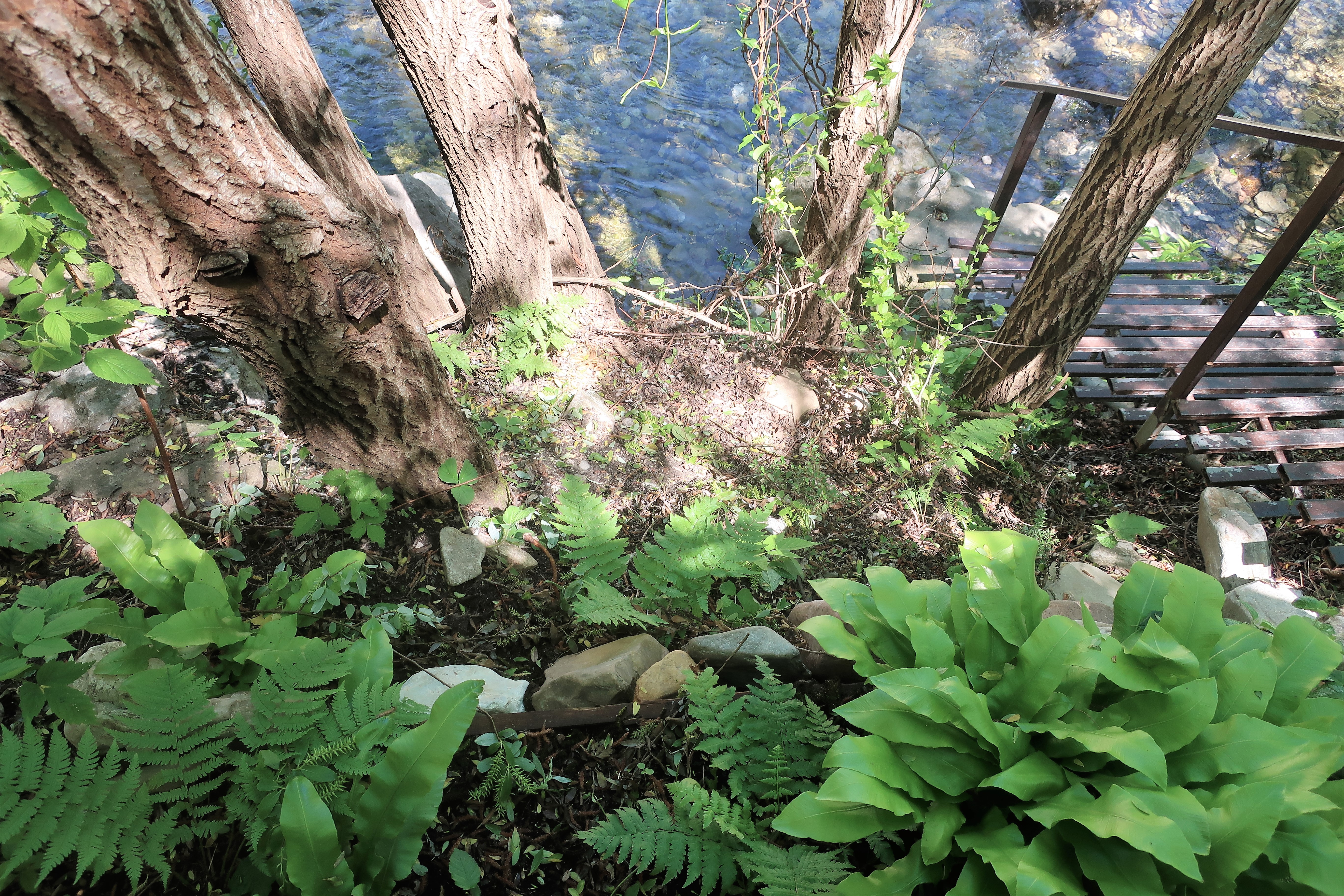 Фото Гостевой дом Шоколад