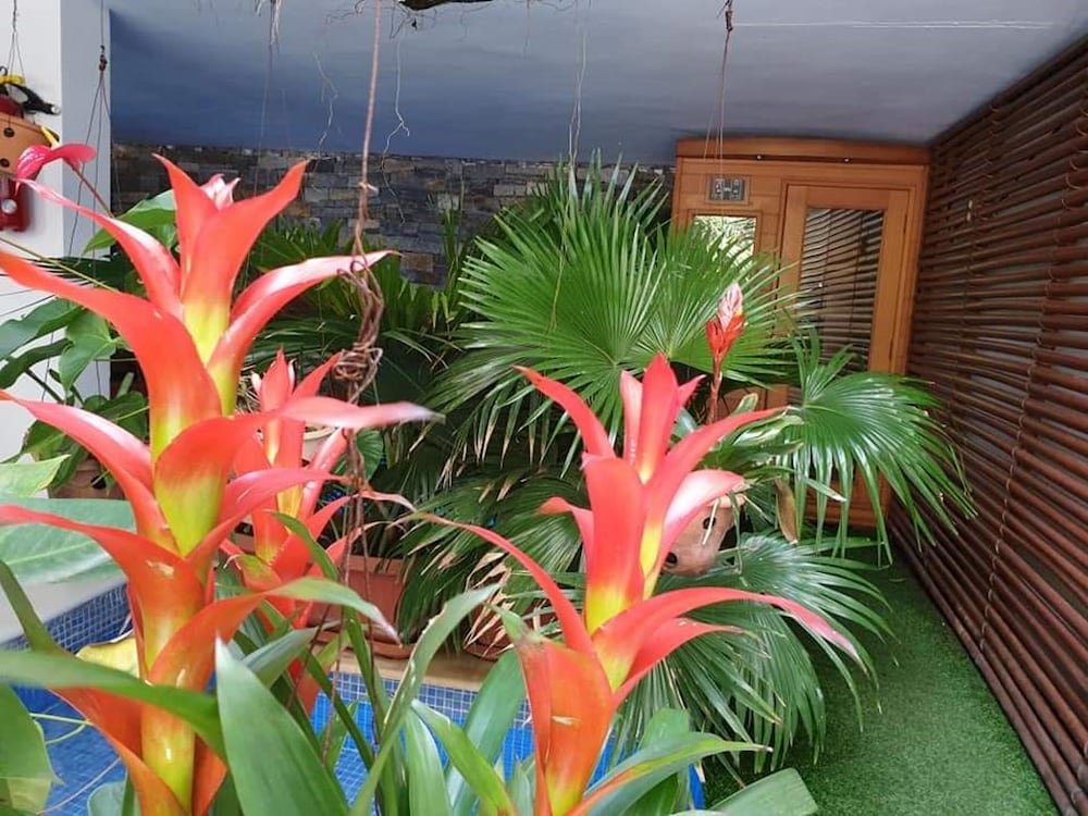 Фото 158288761313