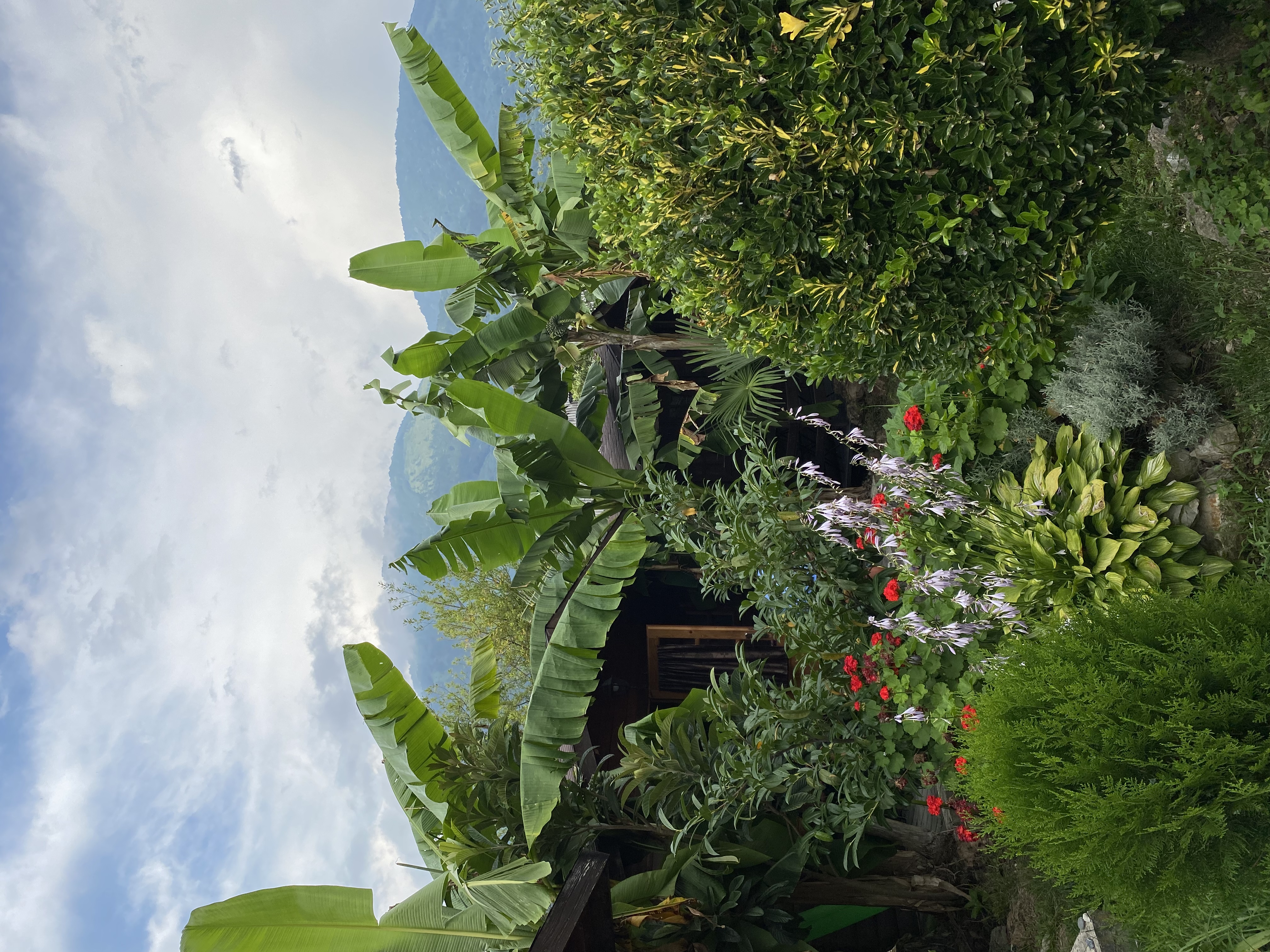 Фото Комплекс Коттеджи в Гагре