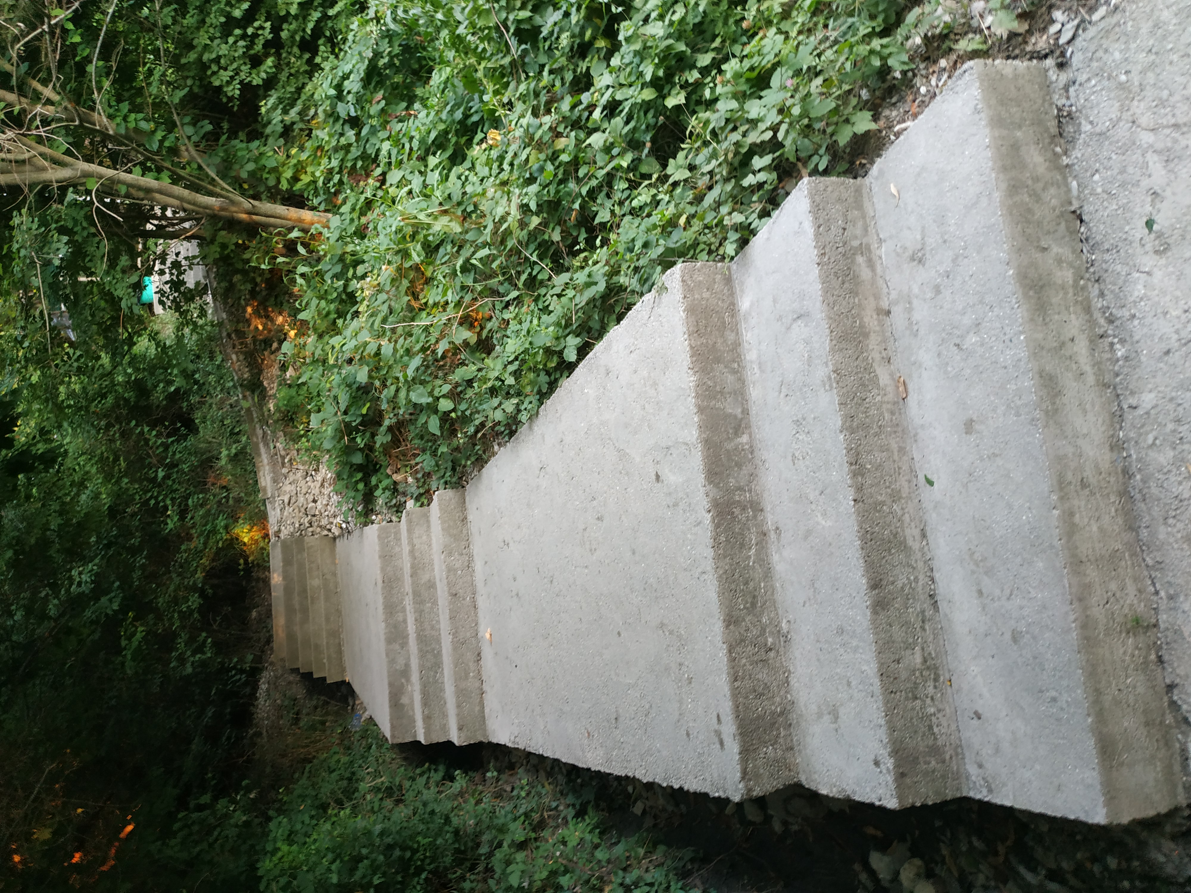 Фото Парк Инал