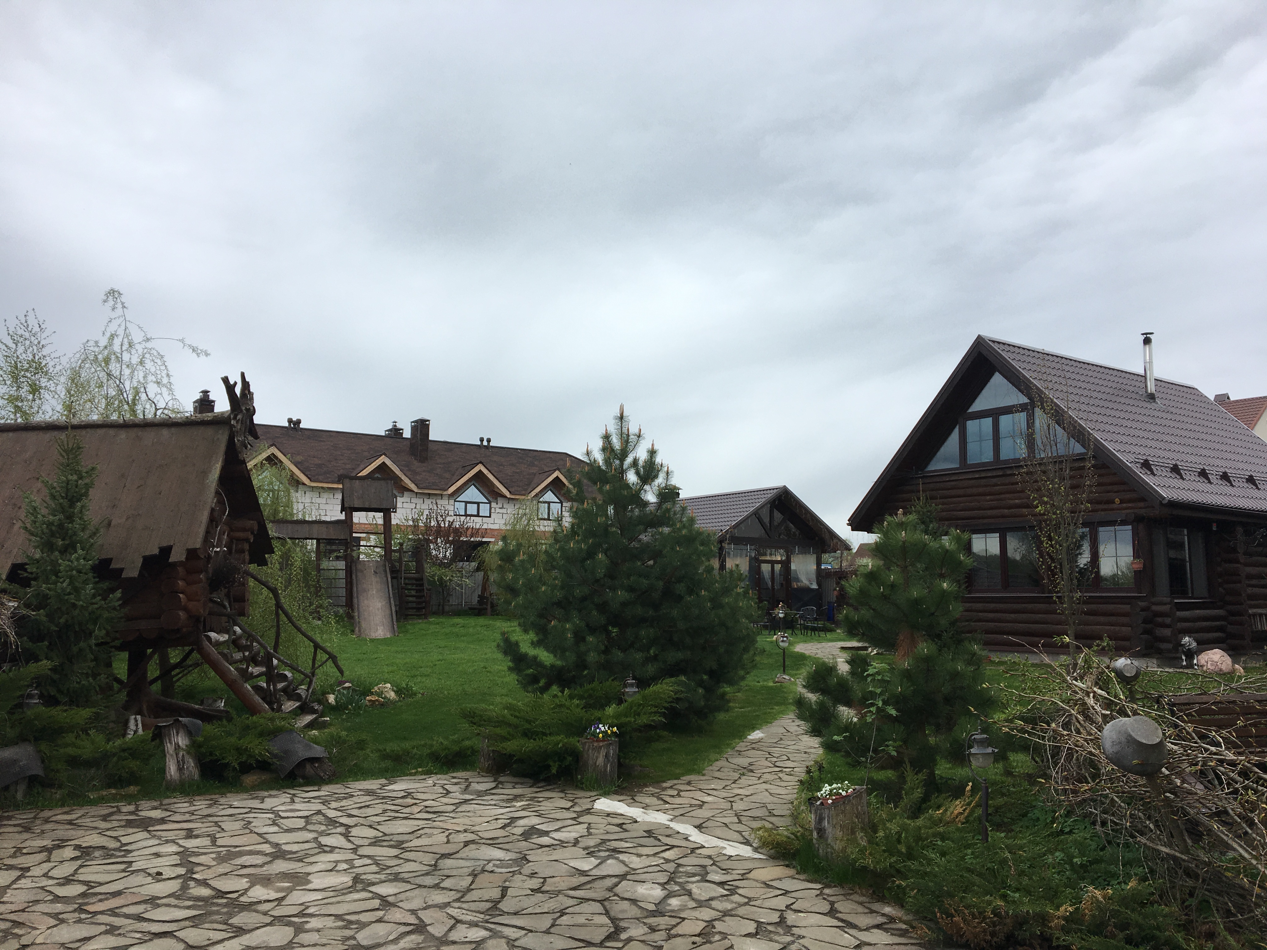 Фото Серый Волк