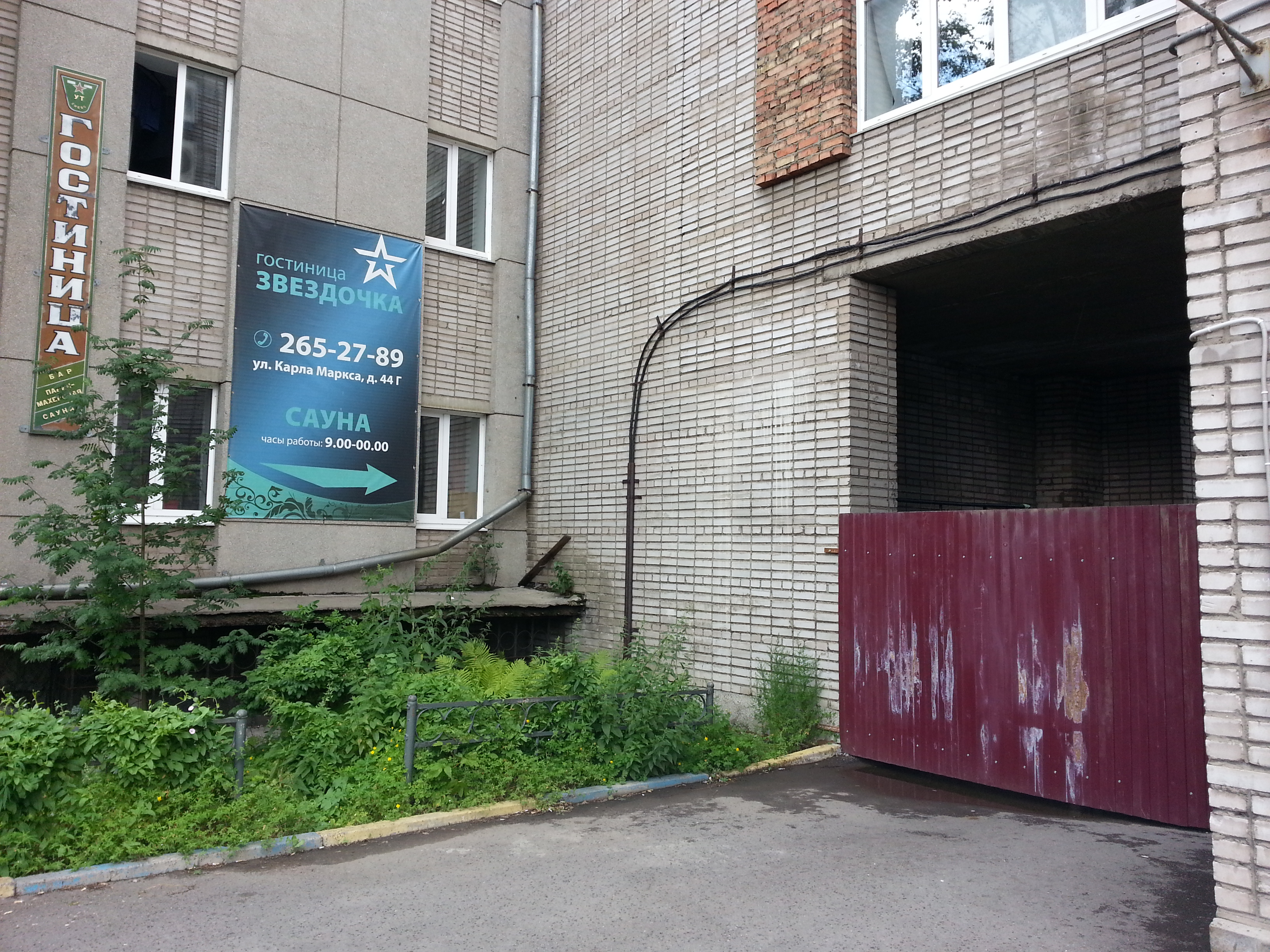 Фото Звездочка