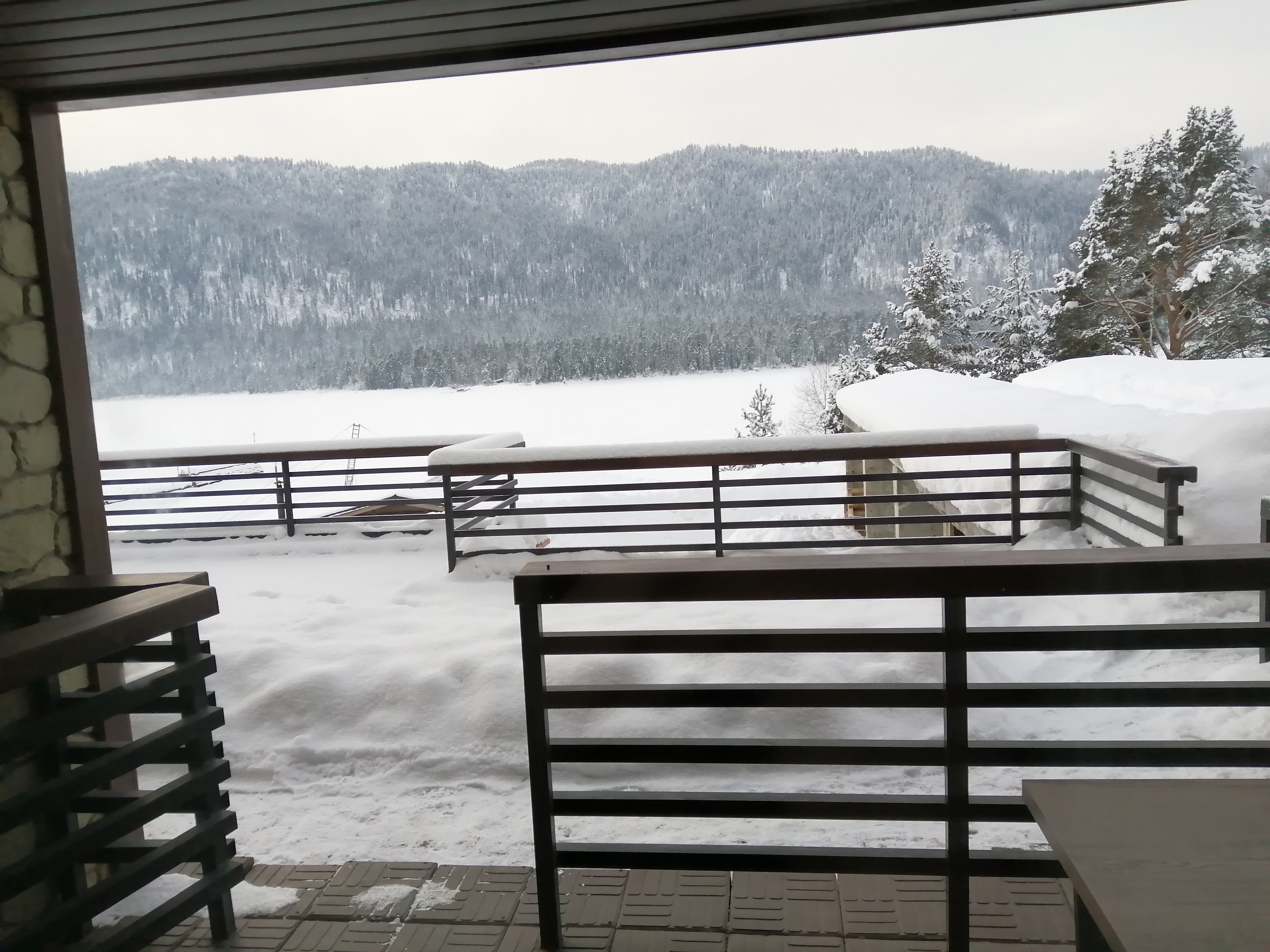 Фото Шале Телецкое