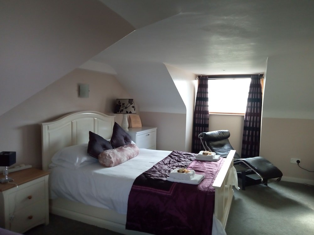 Фото The Oystercatcher