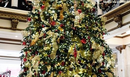 Фото Capital Hotel