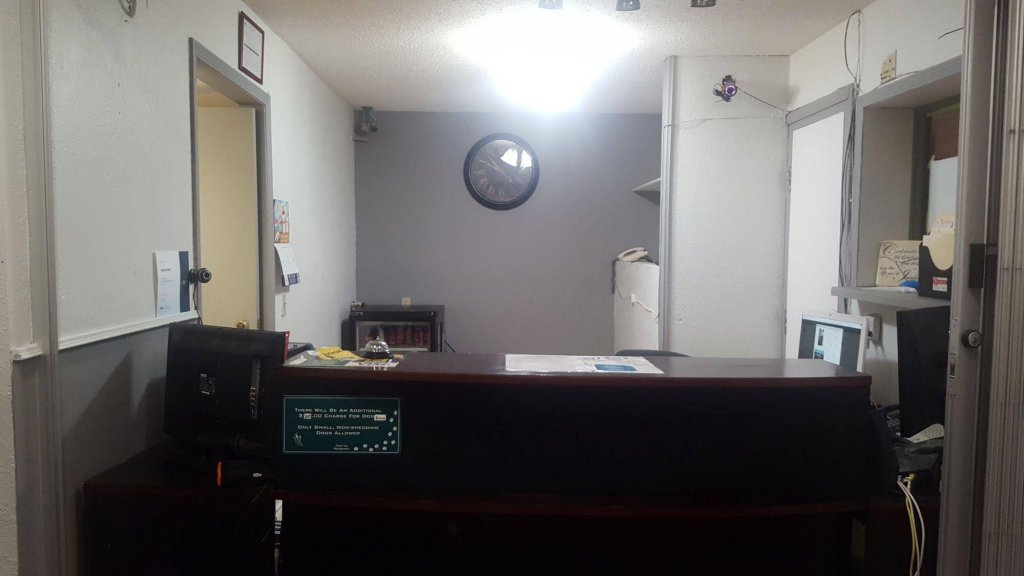 Фото 241553819836