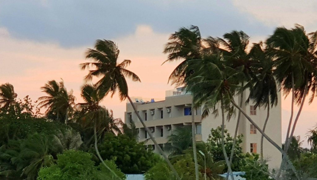 Фото Season Paradise