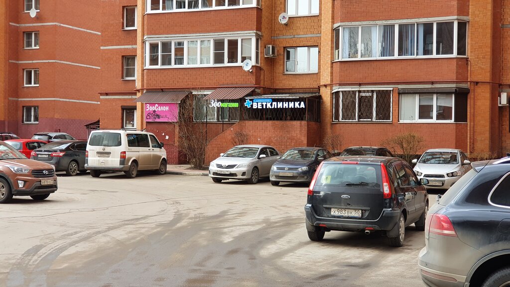 Veterinary clinic AlternativA, Balashiha, photo