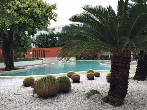 Фото Las Tortugas Condominium