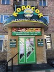 Колосок (Narodnaya ulitsa, 19А), grocery