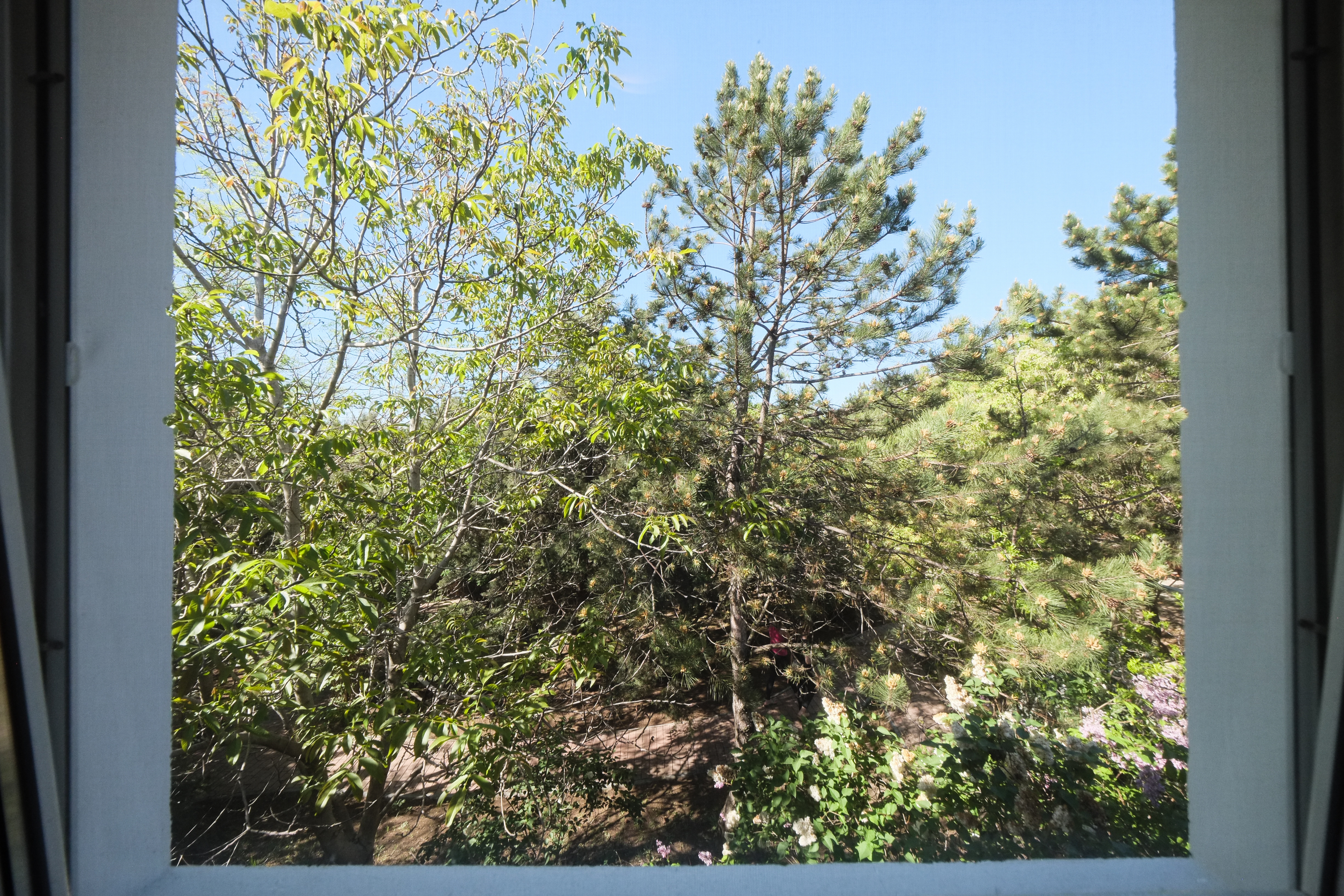 Фото Качинская