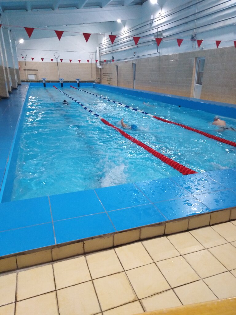 Sports center Swimming Pool, Tikhvin, photo