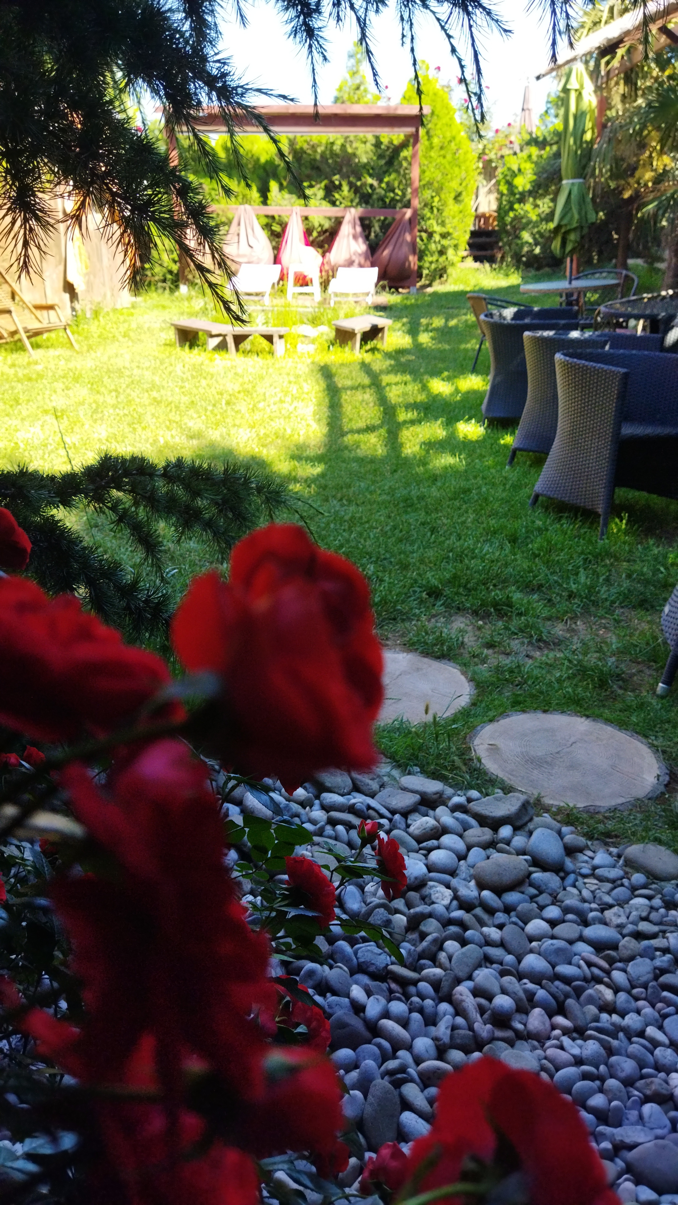 Фото Арт дача