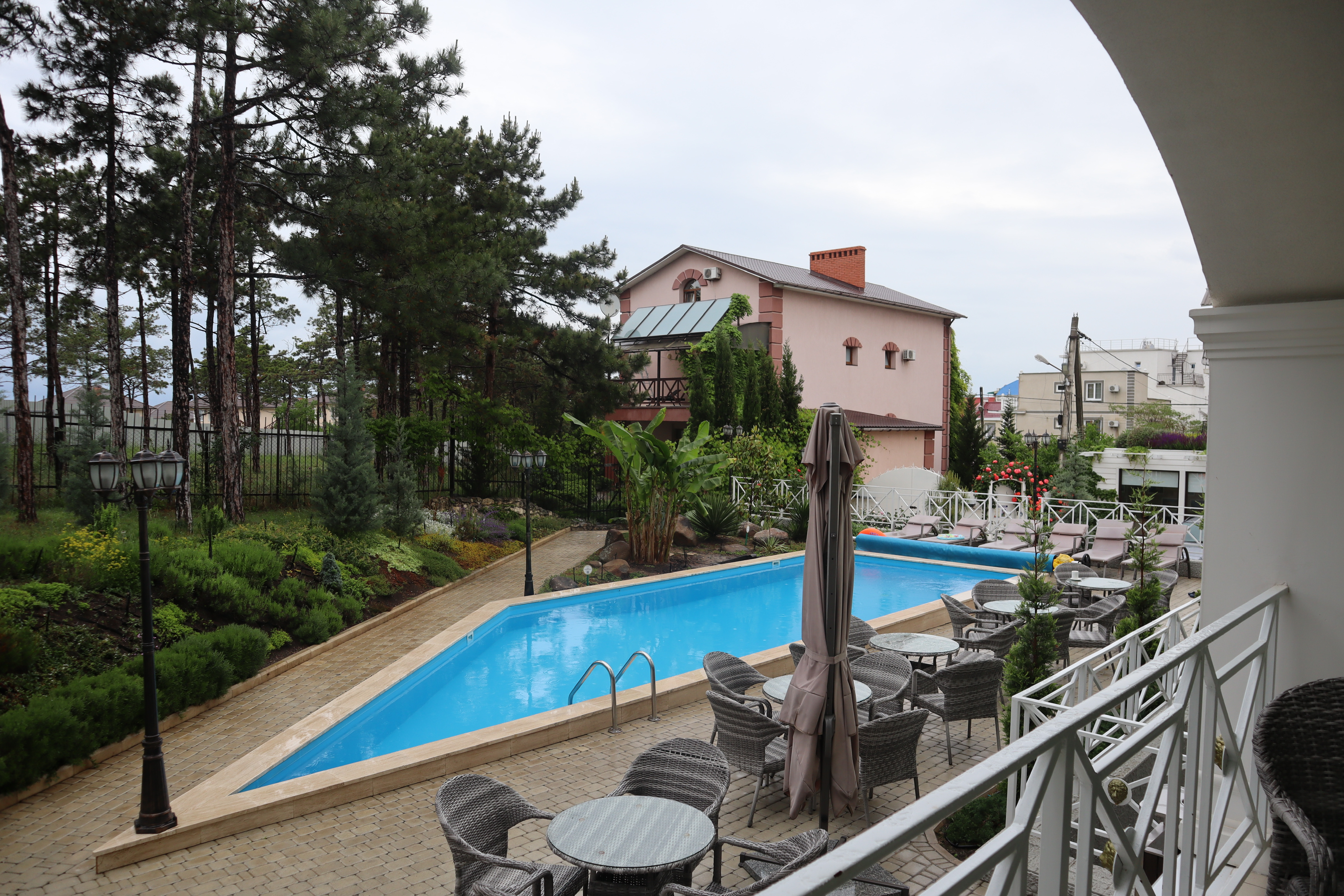 Фото Розмарин