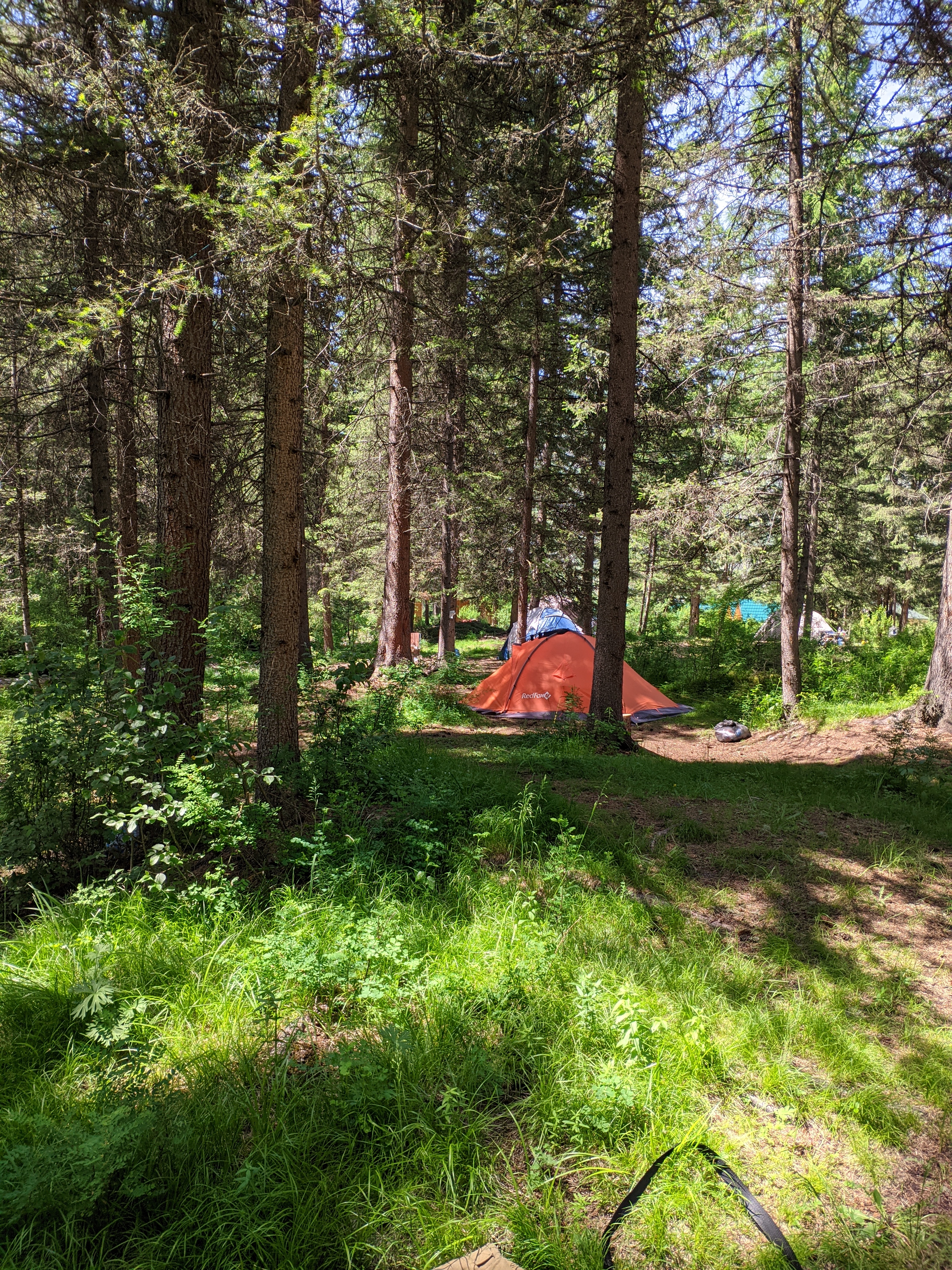 Фото Зелёный колобок