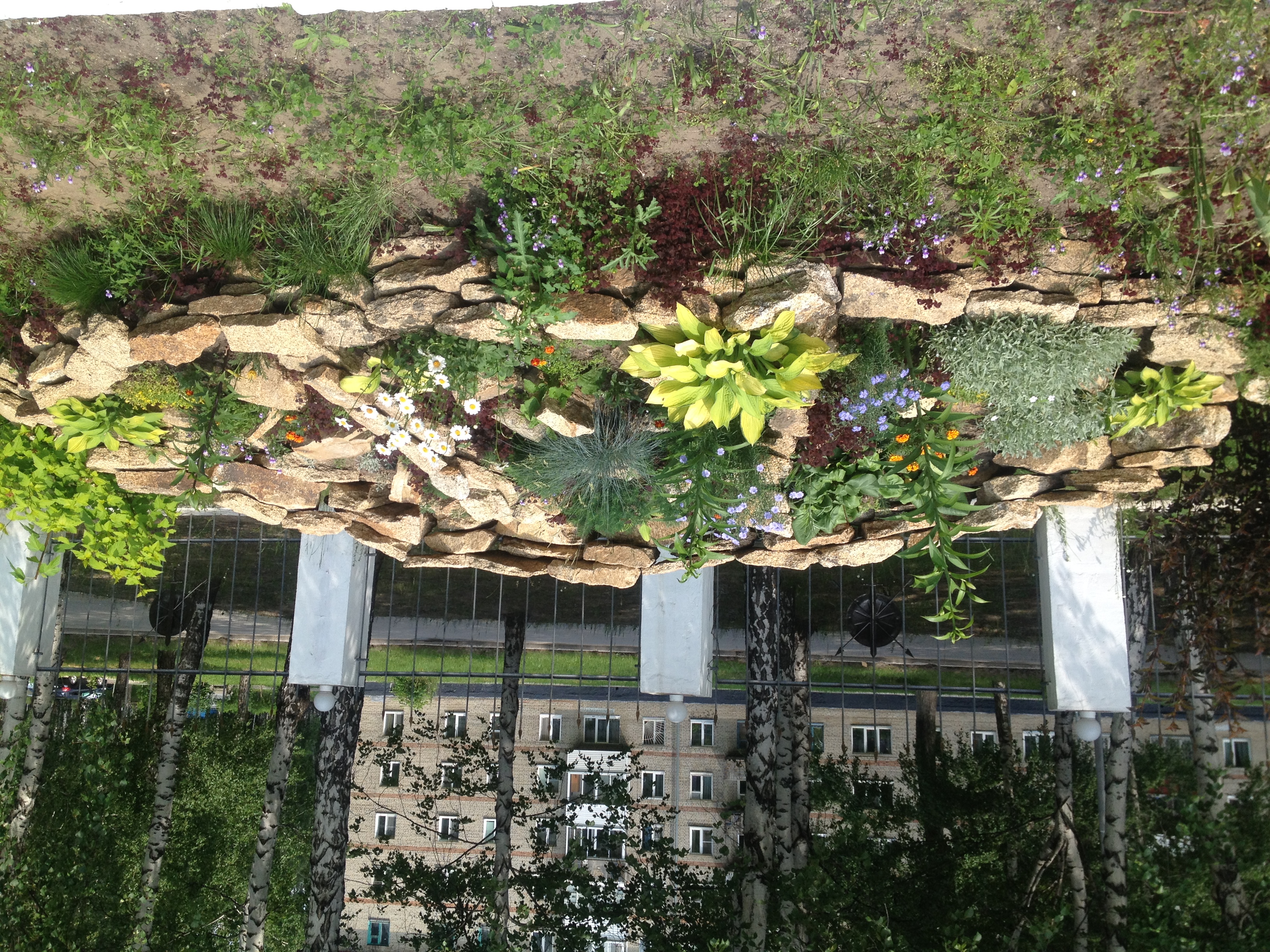 Фото Маршал