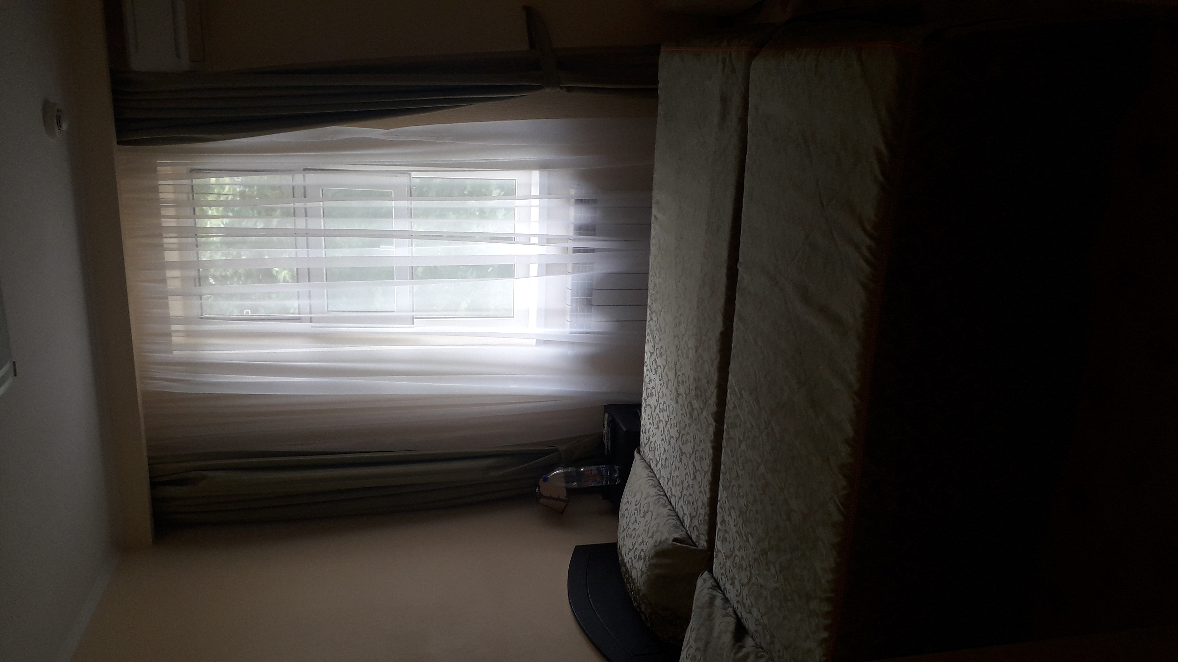 Фото Платан