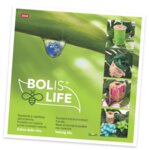 Bolis SPA (Lombardy, Province of Mantua, Via Parma, 6), woodworking enterprise