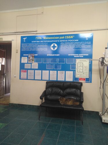 БУ РА Майминская районная станция по борьбе с болезнями животных ...
