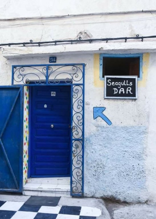 Фото Seagulls Hostel