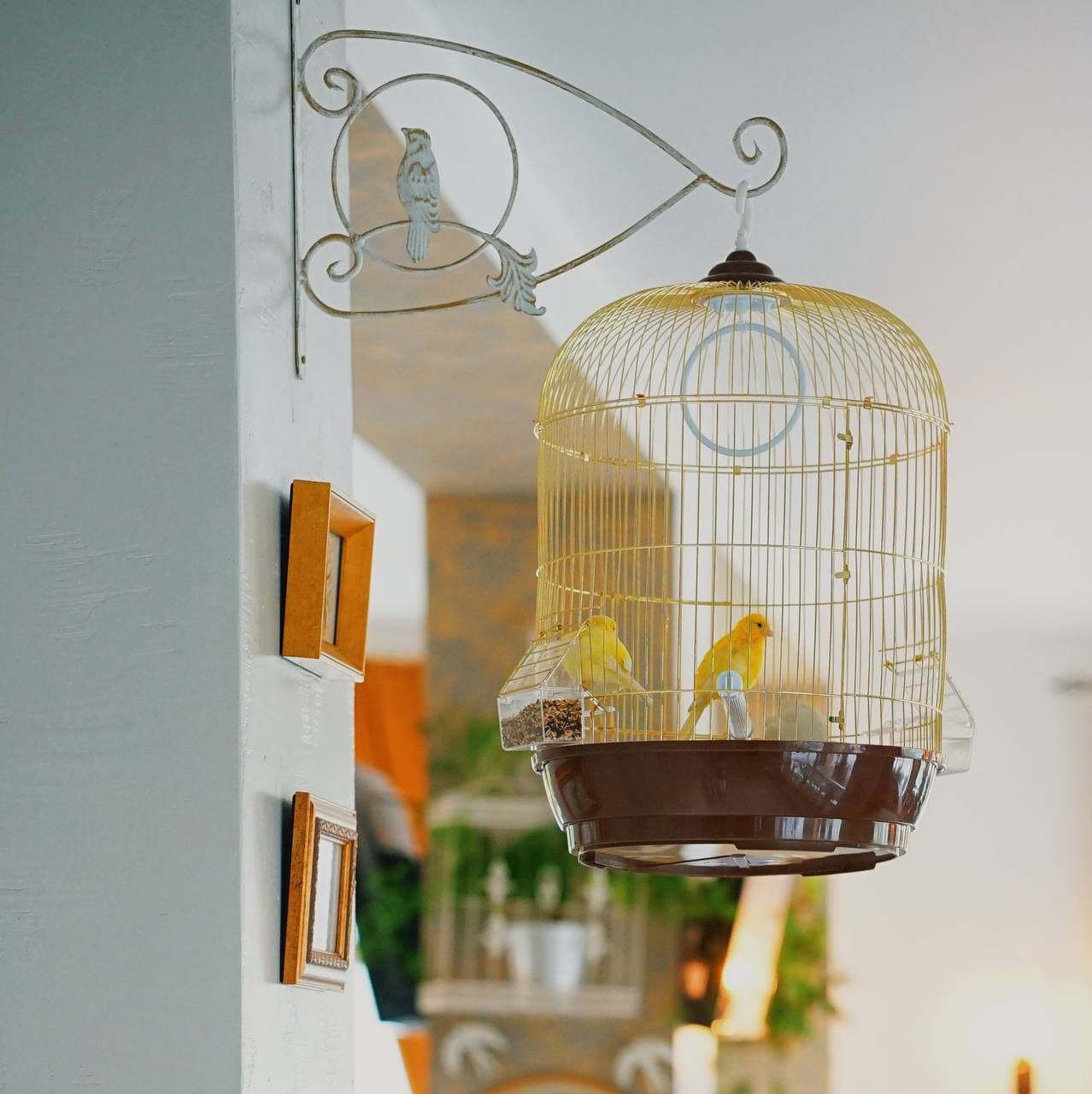 Фото Петровский