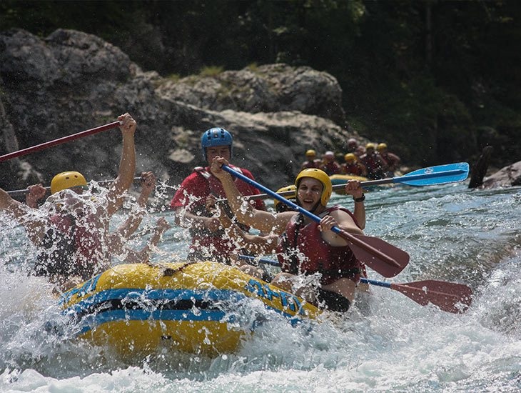 Фото Ореховая роща в Даховской