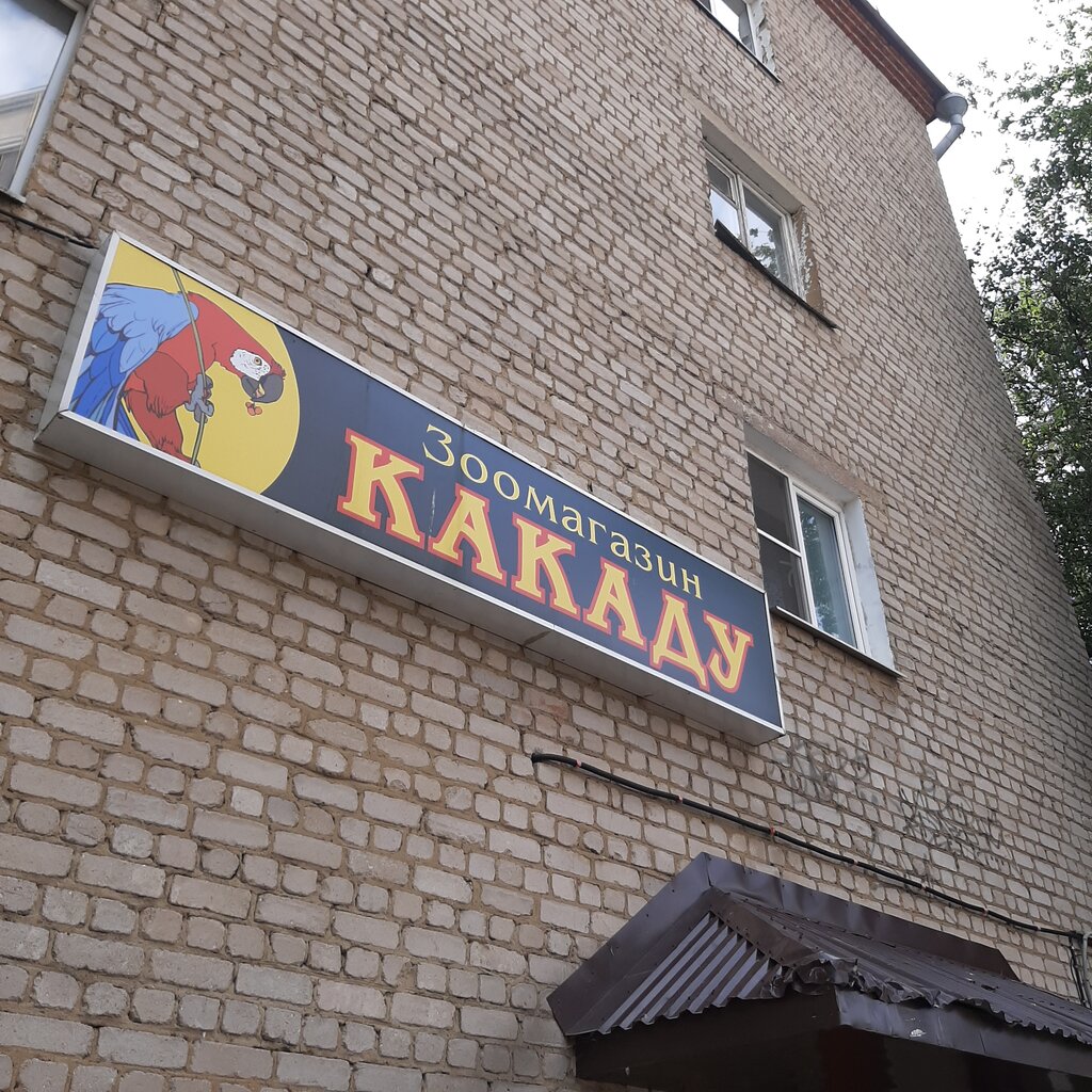 Какаду, зоомагазин, ул. Бутина, 107, Чита - Яндекс Карты