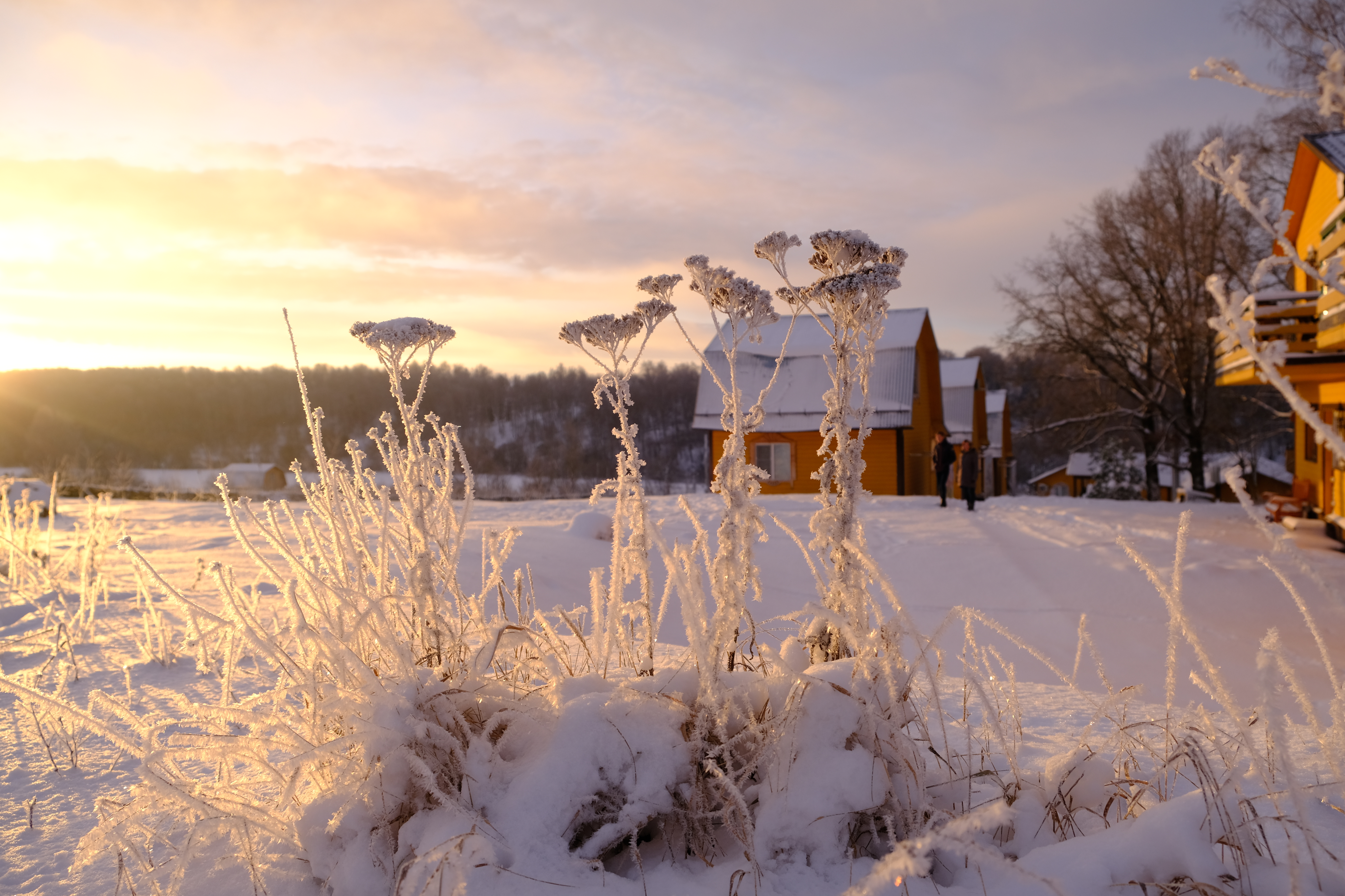 Фото Лукино